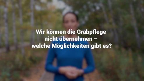 Eine Person steht in einem bewaldeten Gebiet und betrachtet die Kamera, umgeben von herbstlichen Bäumen.