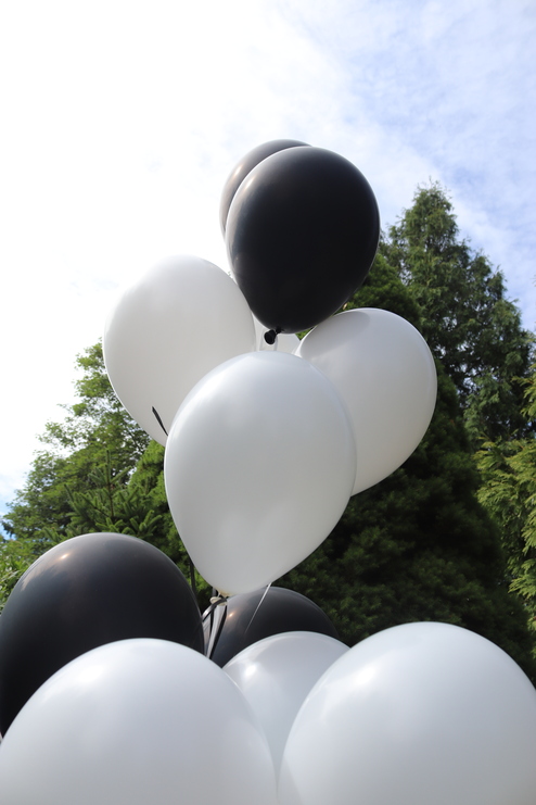 Bunte Luftballons in Schwarz und Wei&szlig; schwebend vor einem gr&uuml;nen Hintergrund mit B&auml;umen und blauem Himmel.