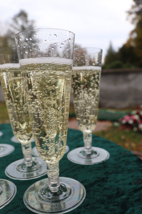 Sechs Gl&auml;ser mit Schaumwein stehen auf einem gr&uuml;nen Tisch, umgeben von unscharfen Hintergrundelementen und Pflanzen.