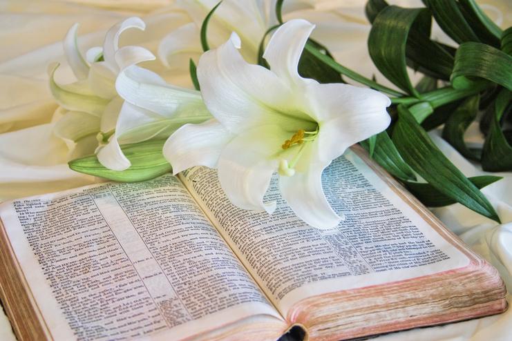 Offenes Buch mit gedrucktem Text und weißen Lilienblüten auf einer hellen Unterlage.
